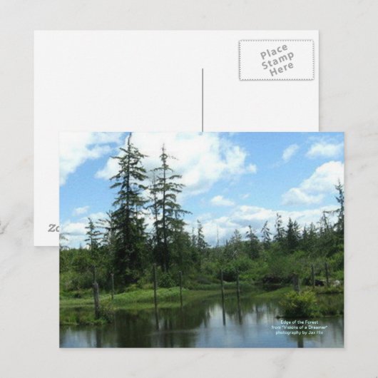 Waldrand Postkarte (Vorne/Hinten)