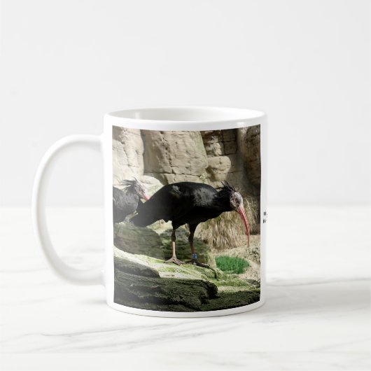 Waldrapp IBIS Schwarzes mit Federn versehene Kaffeetasse (Links)