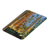 Waldreservat für Kopfgewässer Magnet (Linke Seite)