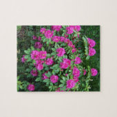 Waldrhododendron Puzzle (Horizontal)