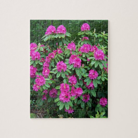 Waldrhododendron Puzzle (Vertikal)