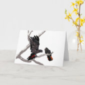 Waldrotes Schwarzkakadu Karte (Gelbe Blume)