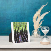 Waldschatten Fotoplatte (InSitu)