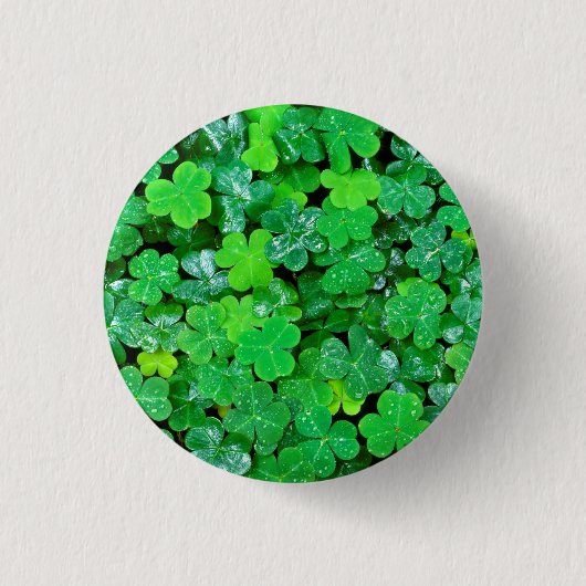 Waldschild im Frühling Button (Vorderseite)