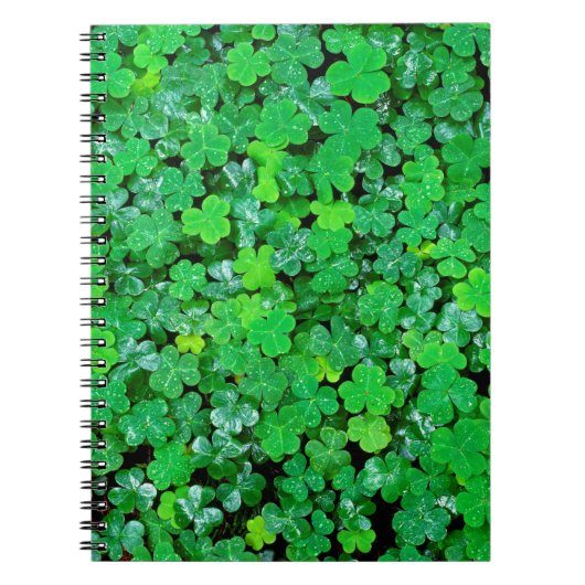 Waldschild im Frühling Notizblock (Vorderseite)