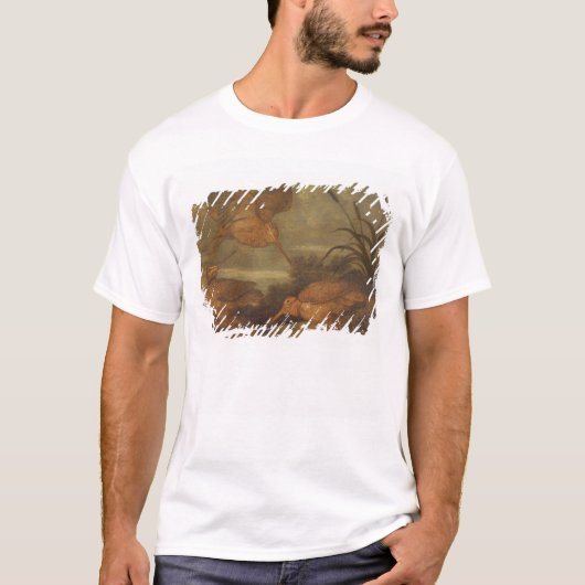 Waldschnepfe an der Dämmerung, c.1676 (Öl auf T-Shirt (Vorderseite)