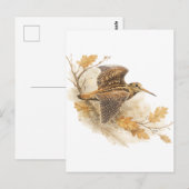 Waldschnepfe  postkarte (Vorne/Hinten)