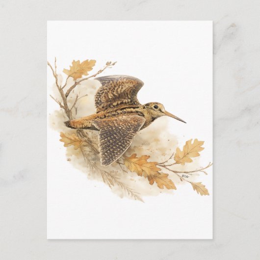 Waldschnepfe  postkarte (Vorderseite)