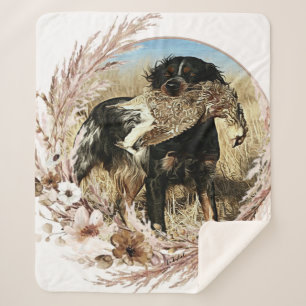 Waldschnepfenjagd mit Brittany Spaniel Sherpadecke