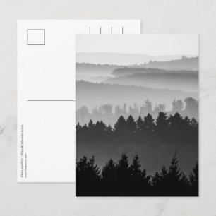 Waldschwarz-Weiß-Foto Postkarte