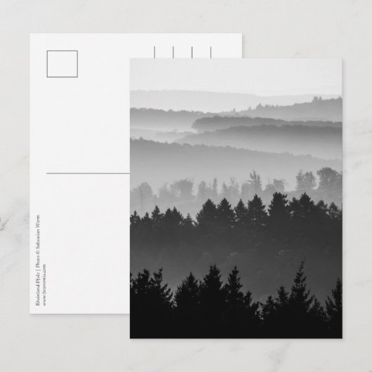 Waldschwarz-Weiß-Foto Postkarte (Vorne/Hinten)