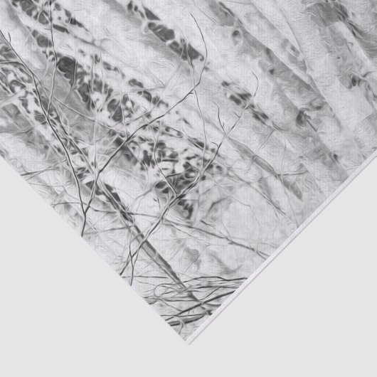 Waldschwarz-weiße Birkenbäume Seidenpapier (Ausschnitt)