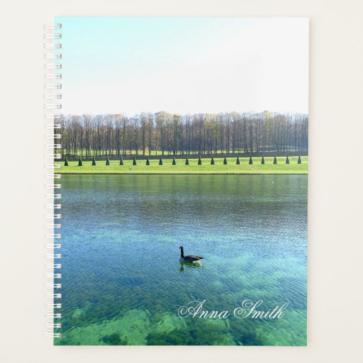Waldsee. Gänse auf Wasser. Planer (Vorderseite)
