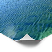 Waldsee. Gänse auf Wasser. Poster (Ecke)