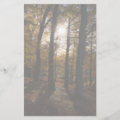 Waldsonne Briefpapier (Vorderseite)