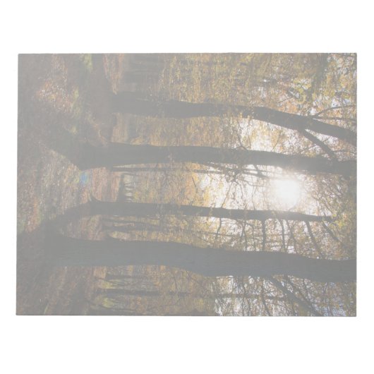 Waldsonne Notizblock (Vorderseite)