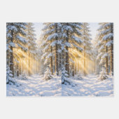 Waldsonnenlicht • Geschenkpapierbögen • Set aus 3 Geschenkpapier Set (Vorderseite 2)
