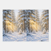 Waldsonnenlicht • Geschenkpapierbögen • Set aus 3 Geschenkpapier Set (Vorderseite)