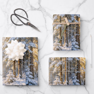 Waldsonnenlicht • Geschenkpapierbögen • Set aus 3 Geschenkpapier Set
