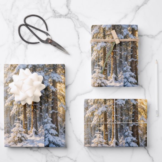 Waldsonnenlicht • Geschenkpapierbögen • Set aus 3 Geschenkpapier Set (Vorderseite)