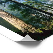 Waldsonnenlicht Poster (Ecke)