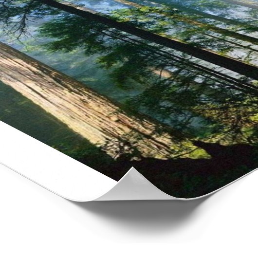 Waldsonnenlicht Poster (Ecke)