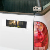 Waldspaziergang Autoaufkleber (Auf Lkw)