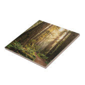 Waldspaziergang Fliese (Seite)