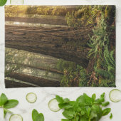 Waldspaziergang Geschirrtuch (Gefaltet)