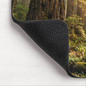 Waldspaziergang Mousepad (Ecke)