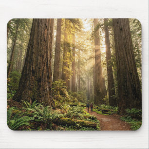 Waldspaziergang Mousepad