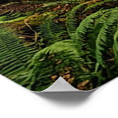 Waldspaziergang Poster (Ecke)