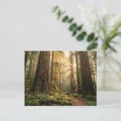 Waldspaziergang Postkarte (Stehend Vorderseite)