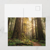 Waldspaziergang Postkarte (Vorne/Hinten)