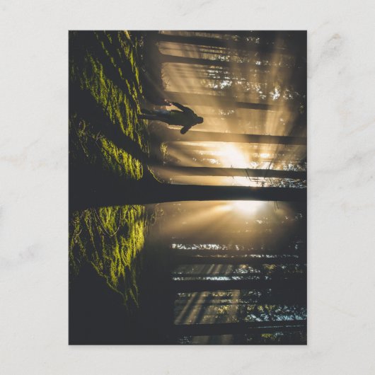 Waldspaziergang Postkarte (Vorderseite)