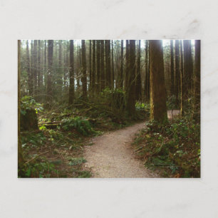 Waldspaziergang Postkarte