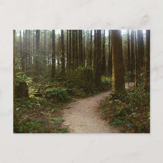 Waldspaziergang Postkarte (Vorderseite)