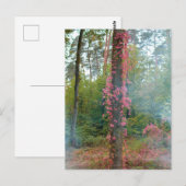 Waldstimmung - Leinwand Postkarte (Vorne/Hinten)
