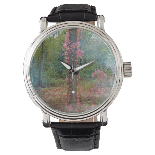 Waldstimmungposter rund um die Uhr (Vorderseite)