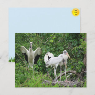 Waldstorch-Familien-Postkarte Feiertagspostkarte