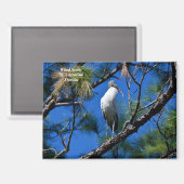 Waldstorch im wilden St. Augustine, Florida Magnet (Vorderseite/Rückseite)