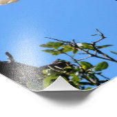 Waldstorch in freier Wildbahn Fotodruck (Ecke)