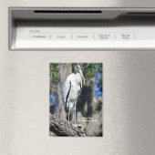 Waldstorch in freier Wildbahn Magnet (In Situ (Geschirrspüler))
