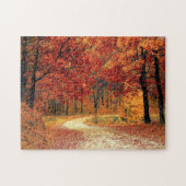 Waldstraße - Fall - Schöner Herbst Puzzle (Horizontal)