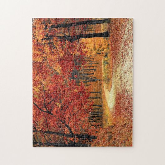 Waldstraße - Fall - Schöner Herbst Puzzle (Vertikal)