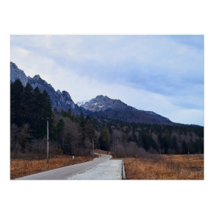 Waldstraße Landschaft Wilde Natur Rumänien Poster