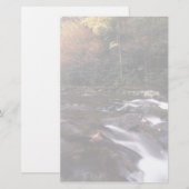 Waldstrom Briefpapier (Vorne/Hinten)