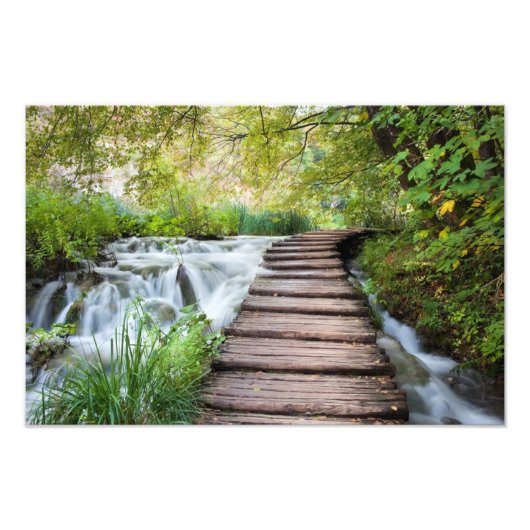 Waldstrom Fotodruck (Vorne)