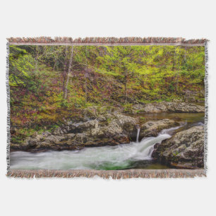 Waldstrom in Great Smoky Mountains Decke