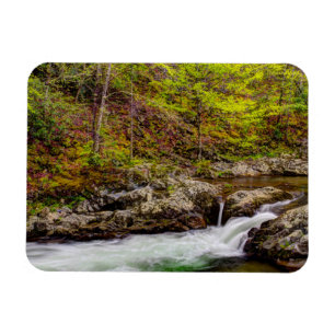 Waldstrom in Great Smoky Mountains Magnet